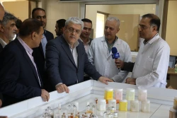 بازدید معاون علمی رئیس جمهور از شرکت های نانویی مسقر در پژوهشگاه پلیمر
 8