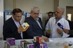 بازدید معاون علمی رئیس جمهور از شرکت های نانویی مسقر در پژوهشگاه پلیمر
 10