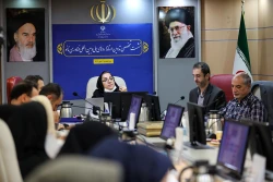 نشست تخصصی تدوین استانداردهای ملی و بین المللی فناوری نانو 28