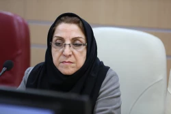 نشست کمیته ملی استانداردهای فناوری نانو با حضور نمایندگان سازمان استاندارد و نمایندگانی از دانشگاه‌ها و شرکت‌ها 10