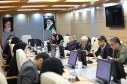 نشست کمیته ملی استانداردهای فناوری نانو با حضور نمایندگان سازمان استاندارد و نمایندگانی از دانشگاه‌ها و شرکت‌ها 16