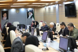نشست کمیته ملی استانداردهای فناوری نانو با حضور نمایندگان سازمان استاندارد و نمایندگانی از دانشگاه‌ها و شرکت‌ها 16