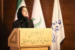 نشست تخصصی ظرفیت های نانو حباب در زنجیره نفت، گاز و پتروشیمی 3