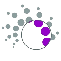 گواهی نانومقیاس