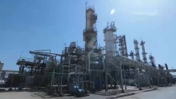 استفاده از نانو کاتالیست های ایرانی در صنایع پتروشیمی کشور