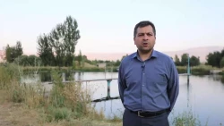 افزایش بهره وری تولید ماهی با استفاده از نانوحباب ساز