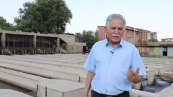 تاثیرنانو حباب بر پرورش جانوران آبزی