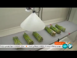 محققان با ساخت نوعی پوشش حاوی روغن هایی با ابعاد نانومتری، موفق به افزایش ماندگاری میوه ها شدند