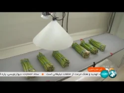 محققان با ساخت نوعی پوشش حاوی روغن هایی با ابعاد نانومتری، موفق به افزایش ماندگاری میوه ها شدند