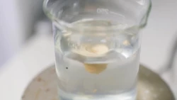 روایتی از روز فناوری نانو و میکرو در دانشگاه تربیت مدرس