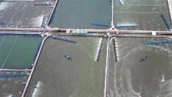 ۵دقیقه درباره فناوری نانوحباب و همه اتفاقات شگفت‌انگیزی که می‌تواند رقم بزند