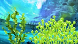 کلیپی جذاب از روند پیشرفت فناوری نانو حباب در ایران