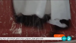متخصصان یک شرکت دانش بنیان موفق شدند، با تولید نانو کاتالیست های پایه اکسید آلمینیوم، تحولی در صنایع نفت و گاز و داروسازی کشور ایجاد کنند