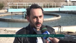 سامانه تصفیه نانو اُزن/ آشنایی با کاربرد فناوری نانو حباب در تصفیه آب و فاضلاب