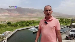 افزایش بهره‌وری در شیلات با فناوری نانوحباب؛ اکسیژن‌رسانی پایدار حتی در زمان قطع برق