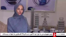 وقتی شرکت نانویی نیاز به واردات یک محصول مهم را مرتفع می‌کند